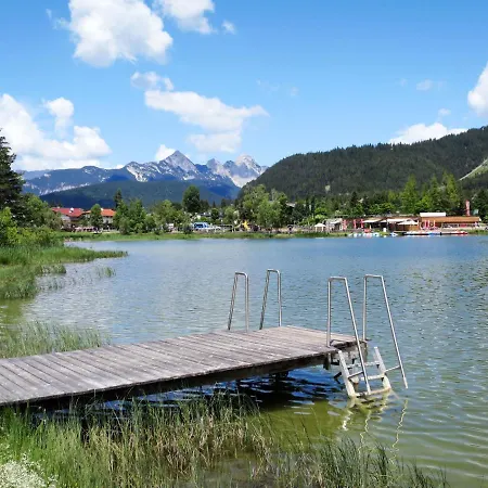 Birkenwald.3 Seefeld in Tirol