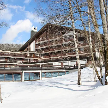 Birkenwald-3 Appartement Seefeld in Tirol